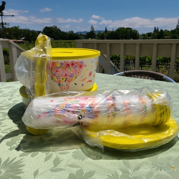 ๐๐ฝ๐ฅฃ NWTโผ๏ธ Tupperware brand Fanciful Floral design Get-It-All-Set - Picture 4 of 10